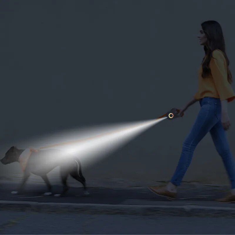 Correa retráctil automática para perro, tira de luz LED luminosa de moda para cachorro, mascota, correa flexible para caminar y correr, 5M